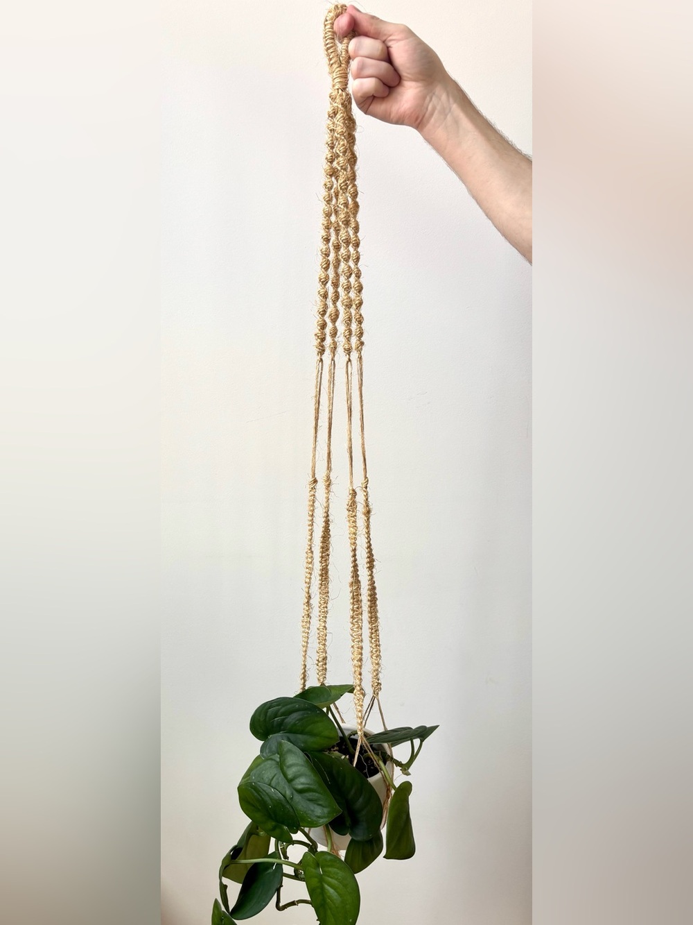 Jute macrame plant hanger